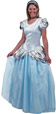 Adult Cinderella Costume