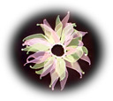 Pink & Green Rhinestone Scrunchie