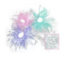 1pc Lavender Star & Moon Ribbon Scrunchie